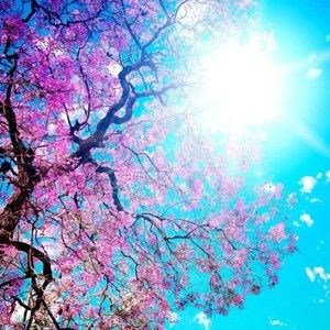 Meet your Posher, Jake